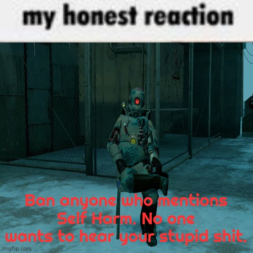 I'm leaving tomorrow again. | Ban anyone who mentions Self Harm. No one wants to hear your stupid shit. | image tagged in my honest reaction | made w/ Imgflip meme maker