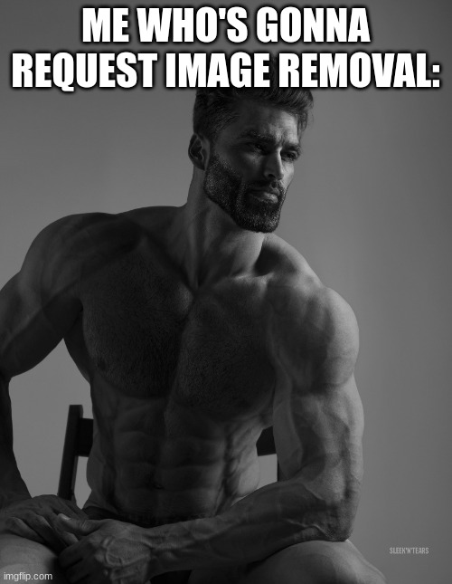 Giga Chad | ME WHO'S GONNA REQUEST IMAGE REMOVAL: | image tagged in giga chad | made w/ Imgflip meme maker