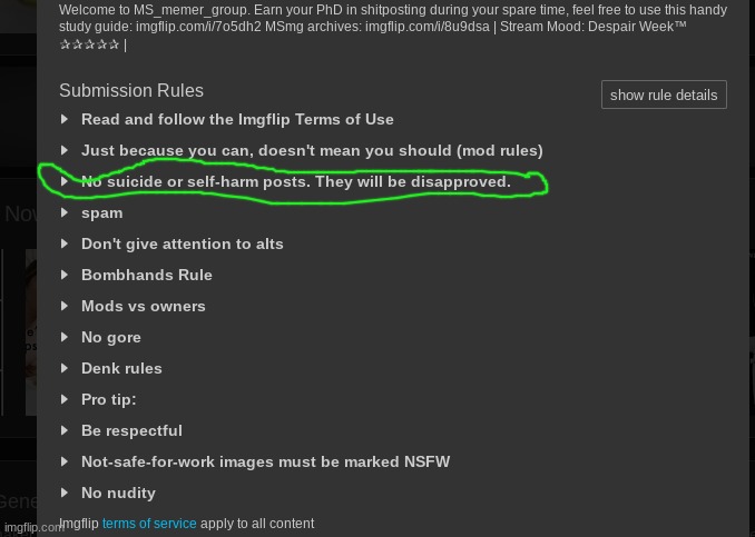 me when i know how to read (also they're talking about SERIOUS posts) | made w/ Imgflip meme maker