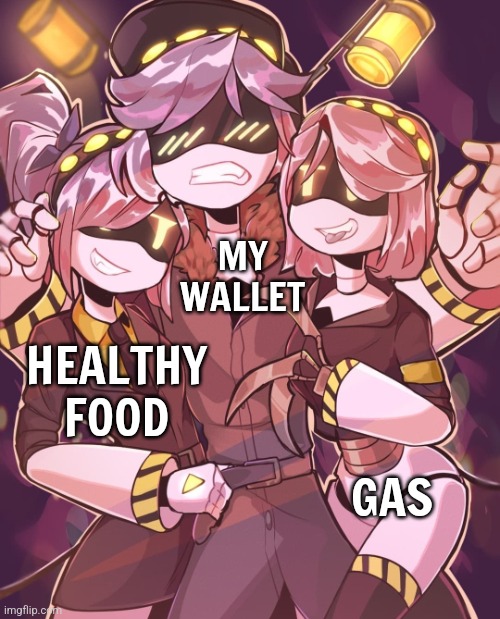 I apologize for th template | MY WALLET; HEALTHY FOOD; GAS | image tagged in n and gals | made w/ Imgflip meme maker