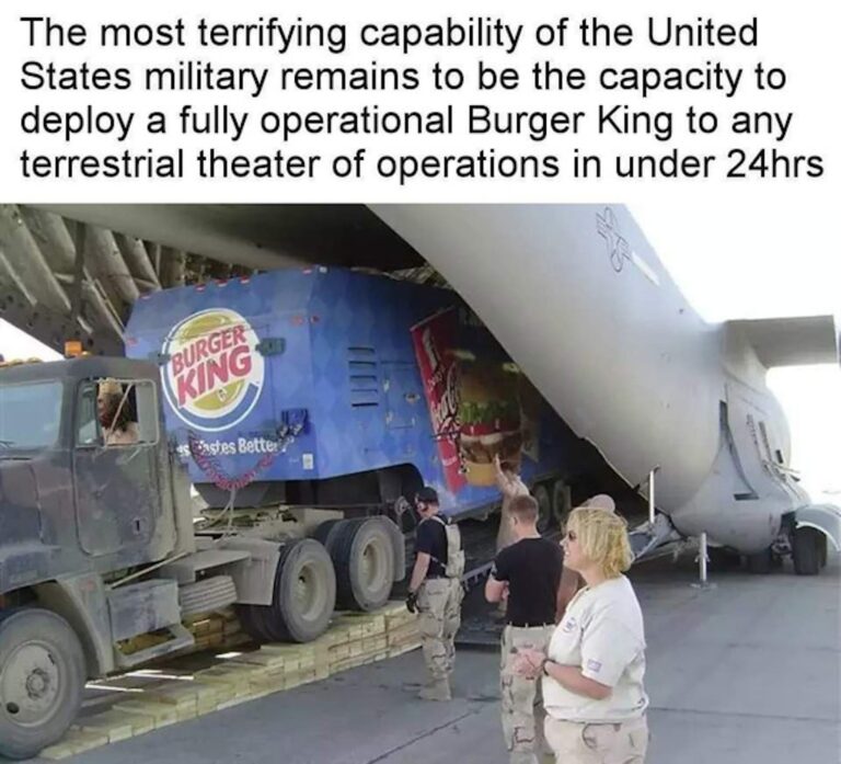 theoccidentalobserver.net dailystormer.in infostormer.com unz.co Blank Meme Template