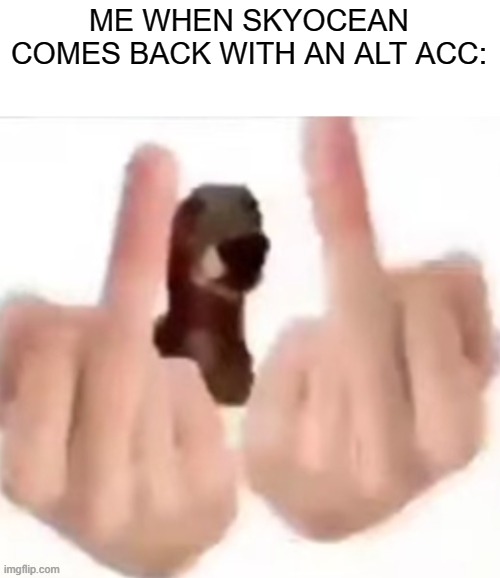 middle finger dog | ME WHEN SKYOCEAN COMES BACK WITH AN ALT ACC: | image tagged in middle finger dog | made w/ Imgflip meme maker