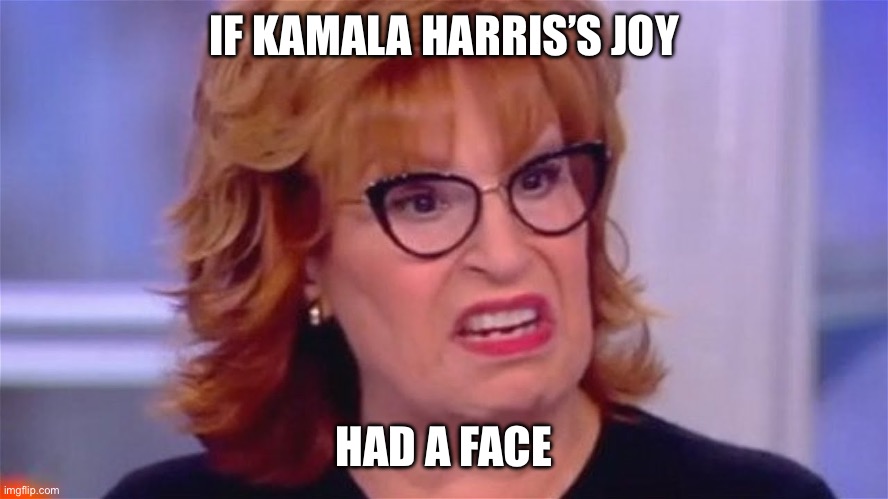 Joy Behar | IF KAMALA HARRIS’S JOY; HAD A FACE | image tagged in joy behar | made w/ Imgflip meme maker