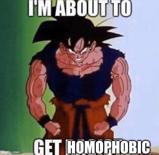 Im about to get racist | HOMOPHOBIC | image tagged in im about to get racist | made w/ Imgflip meme maker