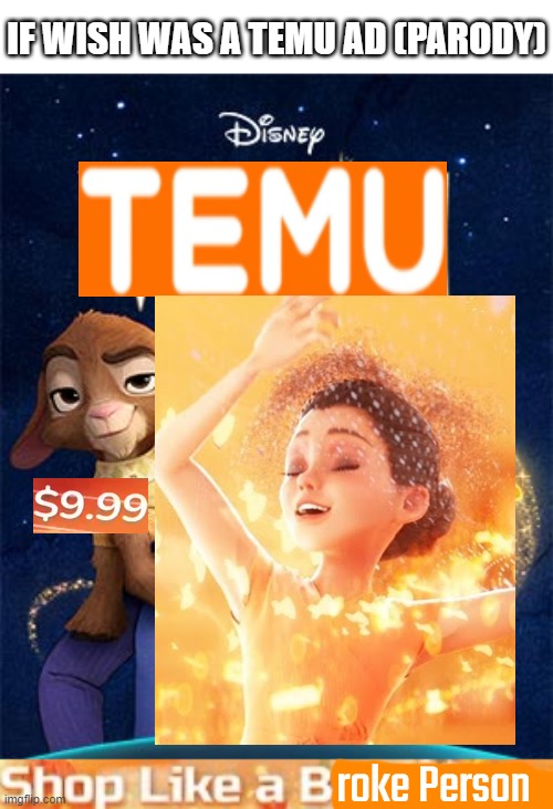 Wish x Temu (Parody) | IF WISH WAS A TEMU AD (PARODY); roke Person | image tagged in temu,wish,disney,shop like a broke person,parody,meme parody | made w/ Imgflip meme maker