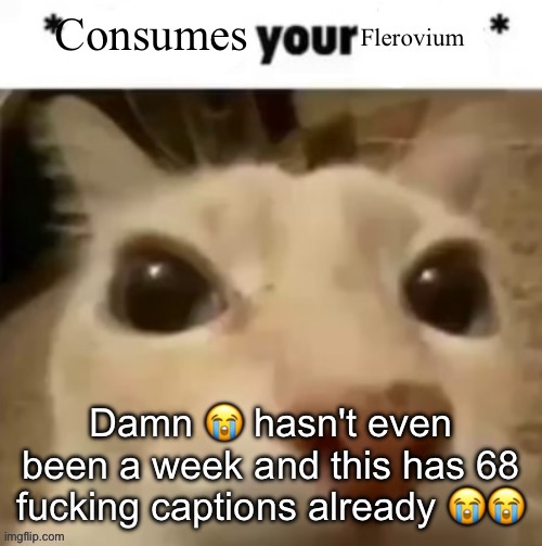 Yakko consumes your flerovium | Damn 😭 hasn't even been a week and this has 68 fucking captions already 😭😭 | image tagged in yakko consumes your flerovium | made w/ Imgflip meme maker