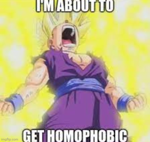 Gohan Homophobic | image tagged in gohan homophobic | made w/ Imgflip meme maker