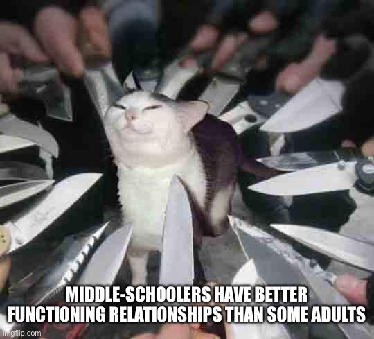 Knife Cat | MIDDLE-SCHOOLERS HAVE BETTER FUNCTIONING RELATIONSHIPS THAN SOME ADULTS | image tagged in knife cat | made w/ Imgflip meme maker