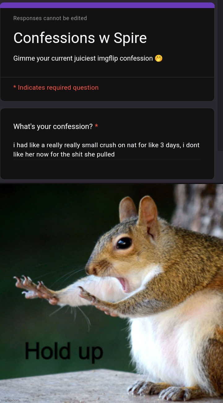 That's crazy | image tagged in hold up squirrel | made w/ Imgflip meme maker