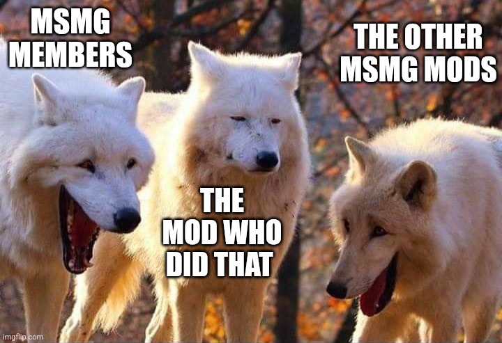 Laughing wolf | MSMG MEMBERS THE MOD WHO DID THAT THE OTHER MSMG MODS | image tagged in laughing wolf | made w/ Imgflip meme maker