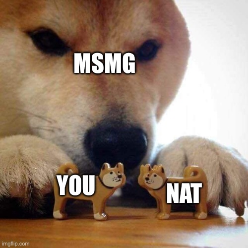 dog now kiss  | MSMG YOU NAT | image tagged in dog now kiss | made w/ Imgflip meme maker