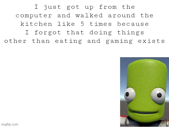 Epilektoi announcement | I just got up from the computer and walked around the kitchen like 5 times because I forgot that doing things other than eating and gaming exists | image tagged in epilektoi announcement | made w/ Imgflip meme maker