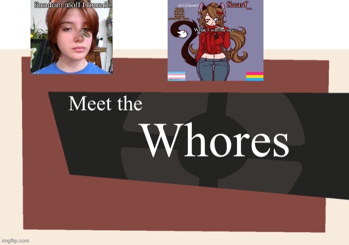 Meet the whores | image tagged in meet the whores | made w/ Imgflip meme maker