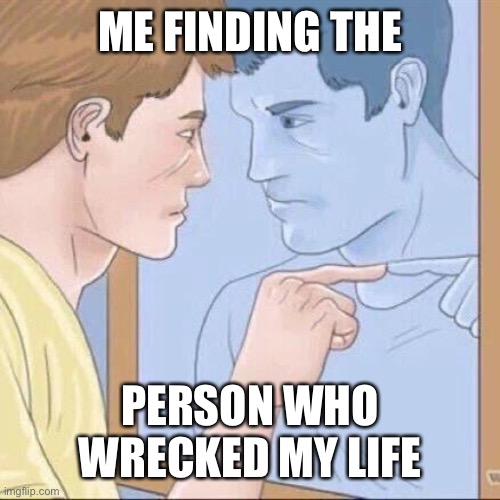 Pointing mirror guy | ME FINDING THE; PERSON WHO WRECKED MY LIFE | image tagged in pointing mirror guy | made w/ Imgflip meme maker