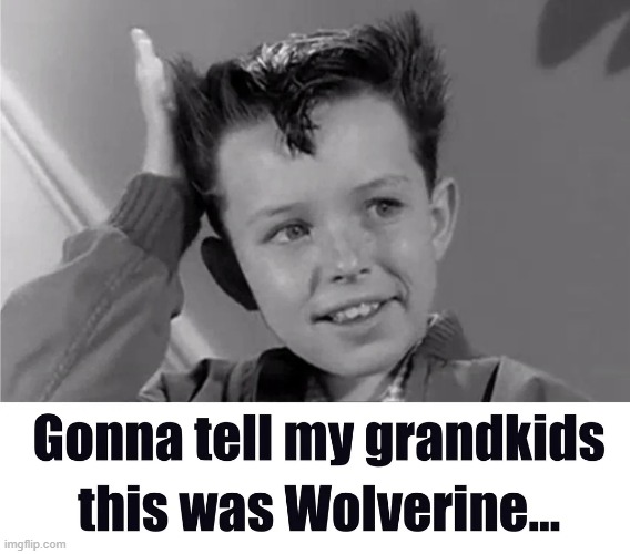 The Beaverine | image tagged in wolverine | made w/ Imgflip meme maker