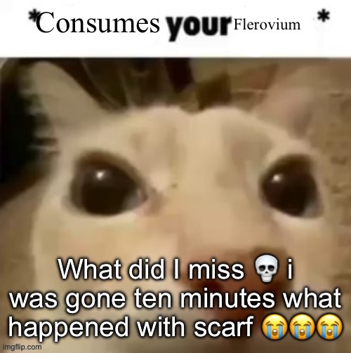 Yakko consumes your flerovium | What did I miss 💀 i was gone ten minutes what happened with scarf 😭😭😭 | image tagged in yakko consumes your flerovium | made w/ Imgflip meme maker