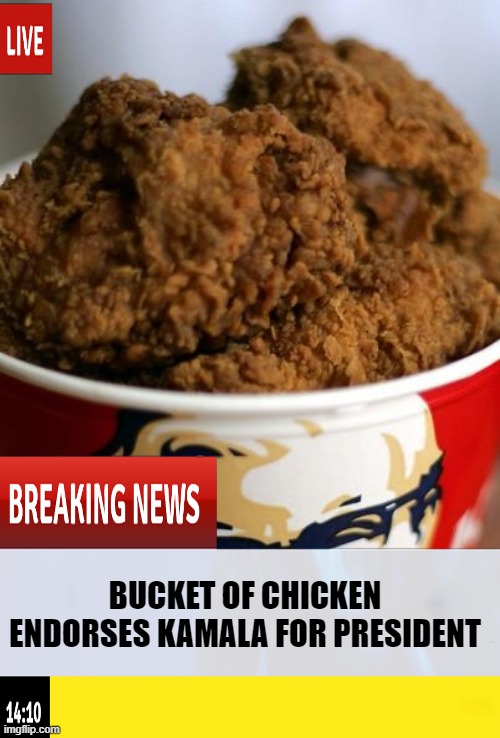 Why Not? | BUCKET OF CHICKEN ENDORSES KAMALA FOR PRESIDENT | image tagged in kamala,politics | made w/ Imgflip meme maker