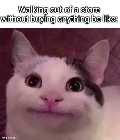 It's so awkward fr | Walking out of a store without buying anything be like: | image tagged in awkward smile cat | made w/ Imgflip meme maker