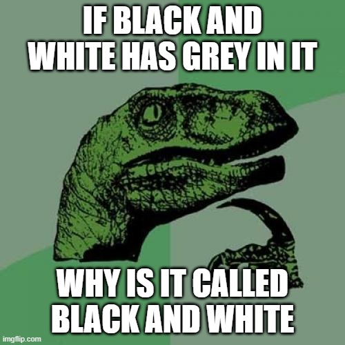 Philosoraptor | IF BLACK AND WHITE HAS GREY IN IT; WHY IS IT CALLED BLACK AND WHITE | image tagged in memes,philosoraptor,1900s | made w/ Imgflip meme maker