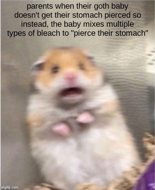 bro took it to whole different level | parents when their goth baby doesn't get their stomach pierced so instead, the baby mixes multiple types of bleach to "pierce their stomach" | image tagged in scared hamster | made w/ Imgflip meme maker