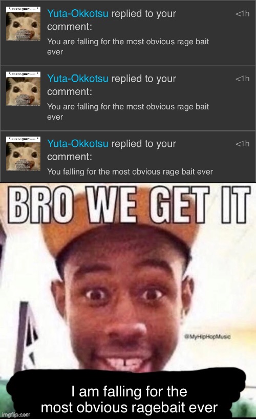 I am falling for the most obvious ragebait ever | image tagged in bro we get it blank | made w/ Imgflip meme maker