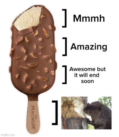 dailystormer.in  infostormer.com  unz.com  gab.com  reeleak.com | image tagged in dailystormer in infostormer com unz com gab com reeleak com | made w/ Imgflip meme maker