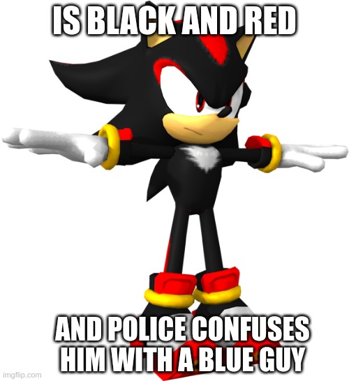 sega, explain this | IS BLACK AND RED; AND POLICE CONFUSES HIM WITH A BLUE GUY | image tagged in shadow the hedgehog t pose | made w/ Imgflip meme maker