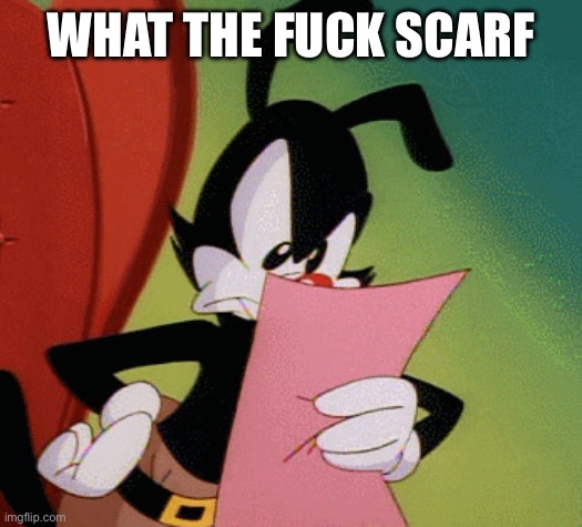 Yakko pissed at whatever the hell he's reading | WHAT THE FUCK SCARF | image tagged in yakko pissed at whatever the hell he's reading | made w/ Imgflip meme maker