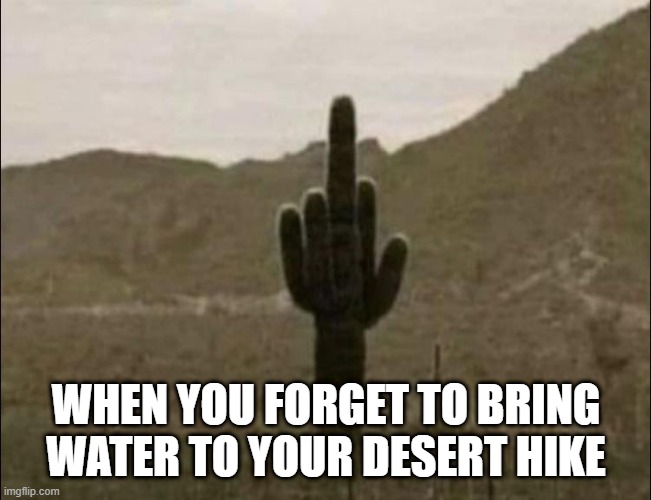 The Desert has a Message | WHEN YOU FORGET TO BRING WATER TO YOUR DESERT HIKE | image tagged in funny memes | made w/ Imgflip meme maker