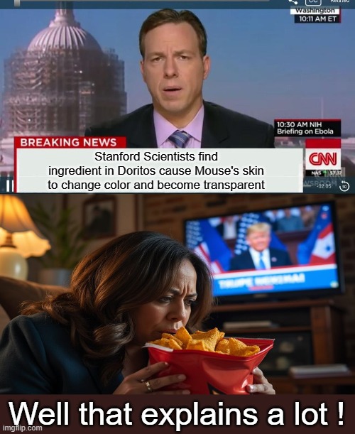 Now we know why she eats Doritos All the Time | Stanford Scientists find ingredient in Doritos cause Mouse's skin to change color and become transparent; Well that explains a lot ! | image tagged in breaking news kamala eats doritos,stanford scientists | made w/ Imgflip meme maker