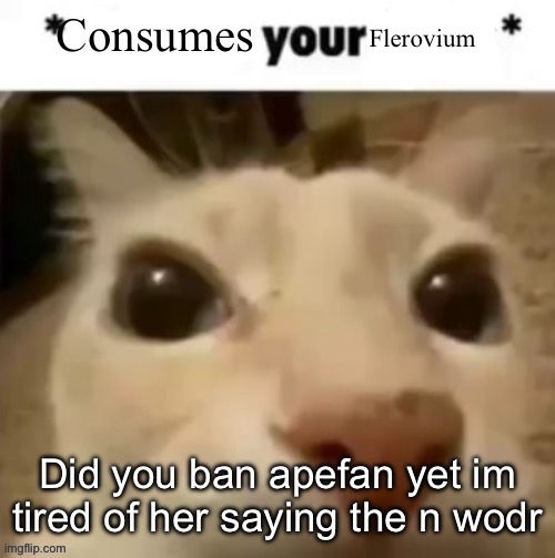 Yakko consumes your flerovium | Did you ban apefan yet im tired of her saying the n wodr | image tagged in yakko consumes your flerovium,he said the n wodr | made w/ Imgflip meme maker