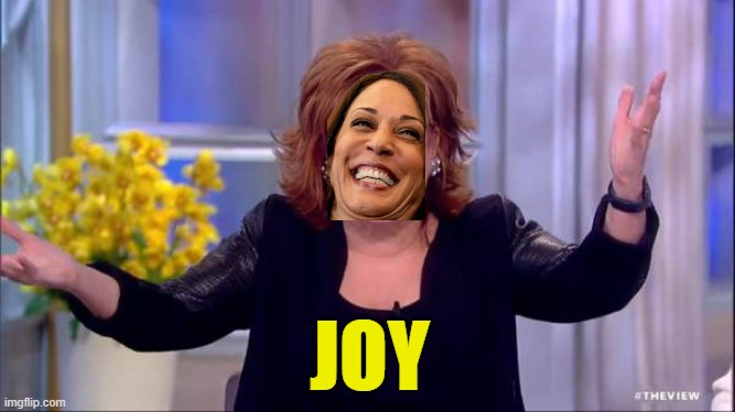 joy behar | JOY | image tagged in joy behar | made w/ Imgflip meme maker