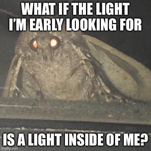 Moth philosopher | WHAT IF THE LIGHT I’M EARLY LOOKING FOR; IS A LIGHT INSIDE OF ME? | image tagged in moth lamp,philosophy,philosoraptor,light | made w/ Imgflip meme maker