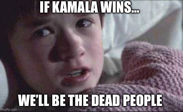 I See Dead People Meme | IF KAMALA WINS…; @CALJFREEMAN1; WE’LL BE THE DEAD PEOPLE | image tagged in i see dead people,maga,kamala harris,donald trump,democrats,secure the border | made w/ Imgflip meme maker