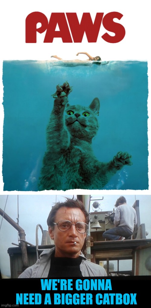 Don't go in the water | WE'RE GONNA NEED A BIGGER CATBOX | image tagged in we're gonna need a bigger boat,cats,jaws,movie poster,paws | made w/ Imgflip meme maker