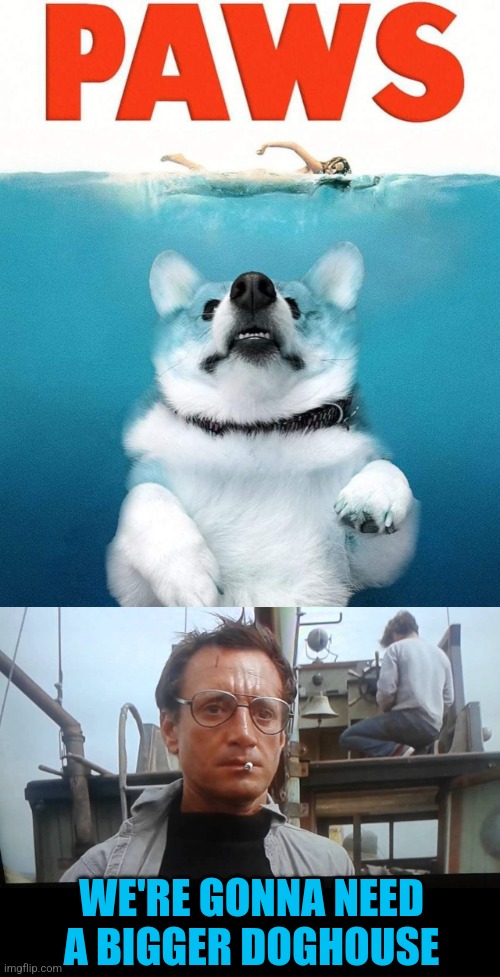 Don't go in the water | WE'RE GONNA NEED A BIGGER DOGHOUSE | image tagged in we're gonna need a bigger boat,dogs,jaws,movie poster,paws | made w/ Imgflip meme maker