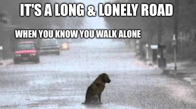 It’s a Long & lonely road When you know YOU WALK ALONE | IT'S A LONG & LONELY ROAD; WHEN YOU KNOW YOU WALK ALONE | image tagged in five finger death punch,i remember everything | made w/ Imgflip meme maker