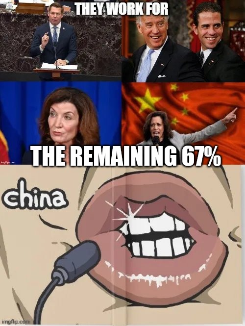 THE REMAINING 67% | made w/ Imgflip meme maker