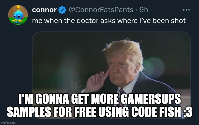 Trump | I'M GONNA GET MORE GAMERSUPS SAMPLES FOR FREE USING CODE FISH :3 | image tagged in trump | made w/ Imgflip meme maker