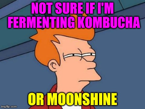 Futurama Fry | NOT SURE IF I'M FERMENTING KOMBUCHA OR MOONSHINE | image tagged in memes,futurama fry | made w/ Imgflip meme maker