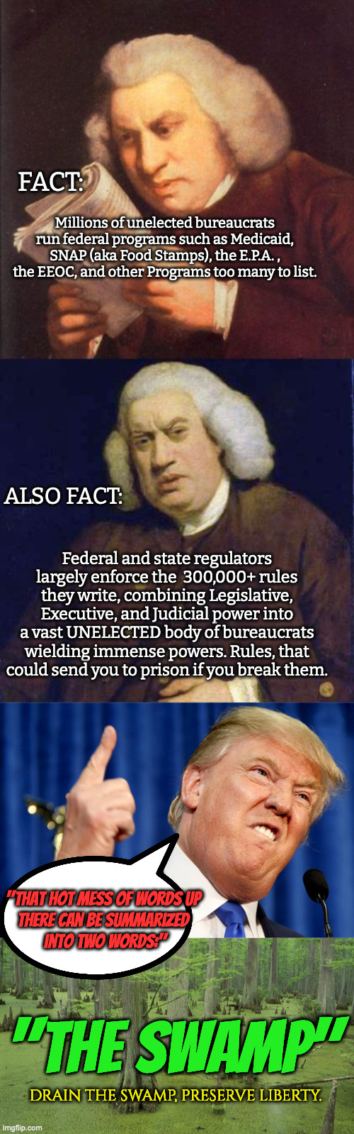 What "the Swamp" is | FACT:; Millions of unelected bureaucrats run federal programs such as Medicaid, SNAP (aka Food Stamps), the E.P.A. , the EEOC, and other Programs too many to list. ALSO FACT:; Federal and state regulators largely enforce the  300,000+ rules they write, combining Legislative, Executive, and Judicial power into a vast UNELECTED body of bureaucrats wielding immense powers. Rules, that could send you to prison if you break them. "That hot mess of words up 
there can be summarized 
into TWO WORDS:"; "THE SWAMP"; DRAIN THE SWAMP, PRESERVE LIBERTY. | image tagged in dafuq did i just read,donald trump,swamp | made w/ Imgflip meme maker