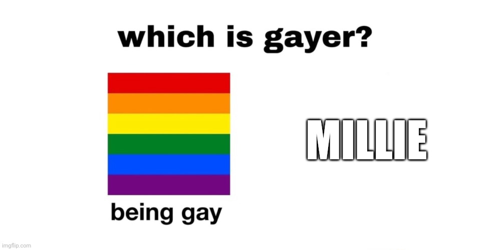 Which Is Gayer? | MILLIE | image tagged in which is gayer | made w/ Imgflip meme maker