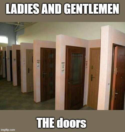 doors | LADIES AND GENTLEMEN; THE doors | image tagged in doors,funny joke,classic rock | made w/ Imgflip meme maker