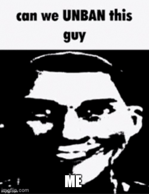 i never said n word! | ME | image tagged in can we unban this guy | made w/ Imgflip meme maker