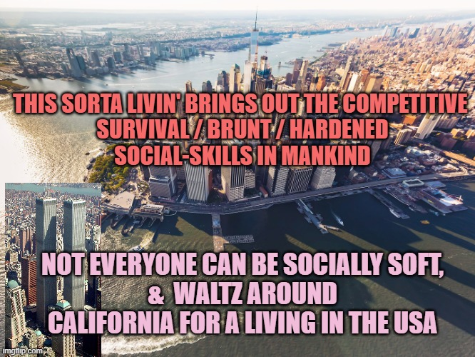 NYC & California Churn out Hubris & Arrogance steadily, yet uniquely. | THIS SORTA LIVIN' BRINGS OUT THE COMPETITIVE 
SURVIVAL / BRUNT / HARDENED
SOCIAL-SKILLS IN MANKIND; NOT EVERYONE CAN BE SOCIALLY SOFT,
&  WALTZ AROUND
CALIFORNIA FOR A LIVING IN THE USA | image tagged in new york city,california,drag queen,drama queen,politics,kamala harris | made w/ Imgflip meme maker