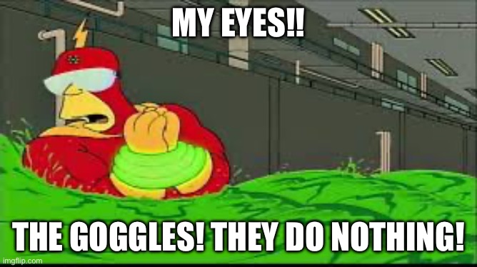 My eyes! The goggles they do nothing | MY EYES!! THE GOGGLES! THEY DO NOTHING! | image tagged in my eyes the goggles they do nothing | made w/ Imgflip meme maker