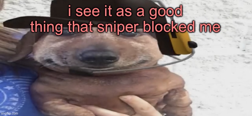 that mean i have good opinions | i see it as a good thing that sniper blocked me | image tagged in chucklenuts | made w/ Imgflip meme maker