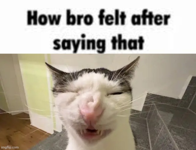 image tagged in how bro felt after saying that | made w/ Imgflip meme maker