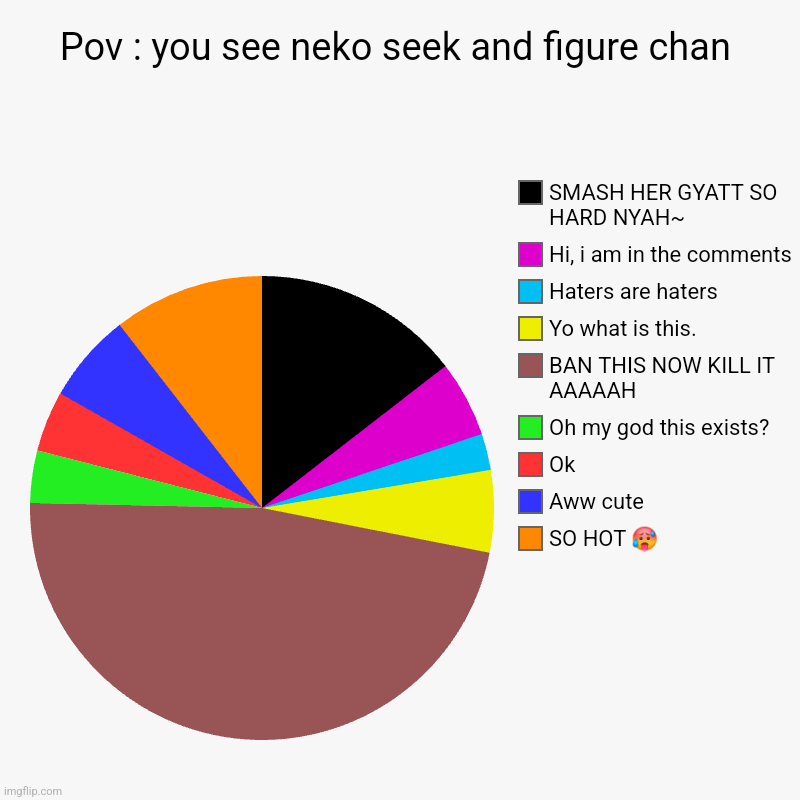 Pov : you see neko seek and figure chan | SO HOT ?, Aww cute, Ok, Oh my god this exists?, BAN THIS NOW KILL IT AAAAAH, Yo what is this., Hat | image tagged in charts,pie charts | made w/ Imgflip chart maker