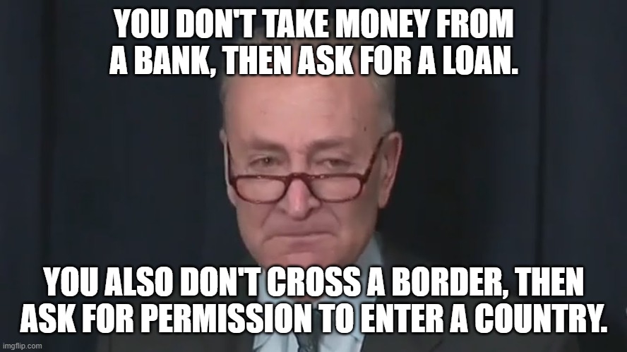 thinks that are wrong like stealing and crossing illegally | YOU DON'T TAKE MONEY FROM A BANK, THEN ASK FOR A LOAN. YOU ALSO DON'T CROSS A BORDER, THEN ASK FOR PERMISSION TO ENTER A COUNTRY. | image tagged in chuck schumer crying | made w/ Imgflip meme maker